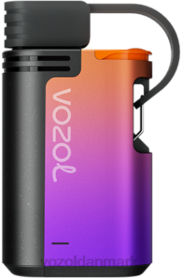 VOZOL GEAR 4000c/6000 drue is 24HBP325 VOZOL Vape Flavours