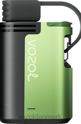 VOZOL GEAR 4000c/6000 kølig mynte 24HBP323 VOZOL Vape Danmark