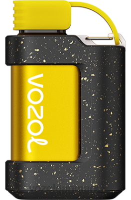 VOZOL GEAR 7000 fersken is 24HBP337 VOZOL Vape Store