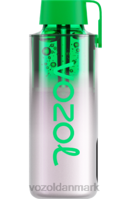 VOZOL NEON 10.000 drue is 24HBP234 VOZOL Vape Pen