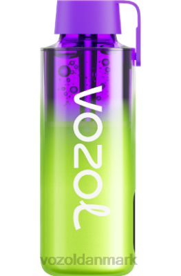 VOZOL NEON 10.000 hindbær vandmelon 24HBP237 VOZOL Vape Store