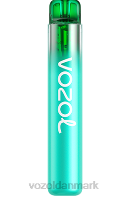 VOZOL NEON 800 blåbær sur hindbær 24HBP246 VOZOL Vape Near Me