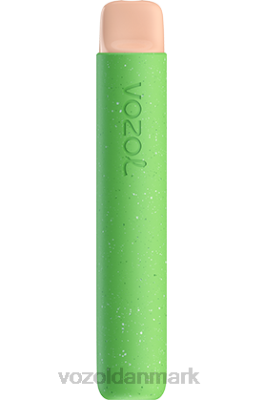 VOZOL STAR 600 citron hindbær vandmelon 24HBP87 VOZOL Vape Store