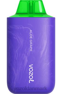 VOZOL STAR 6000/8000 v2 aloe drue 24HBP54 VOZOL Vape Pen