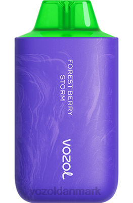 VOZOL STAR 6000/8000 v2 skovbærstorm 24HBP59 VOZOL Vape Sale