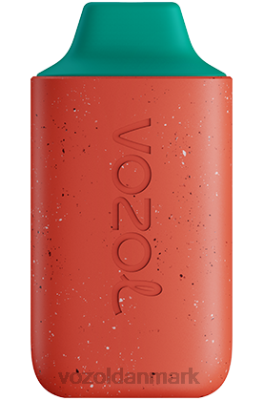 VOZOL STAR 6000 jordbær is 24HBP130 VOZOL Review