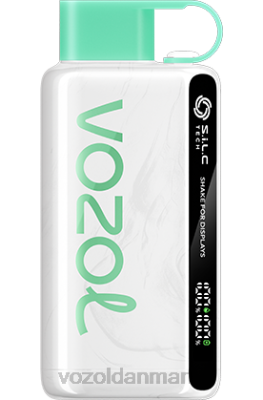 VOZOL STAR 9000/12000 citronmynte 24HBP43 VOZOL Vape Danmark