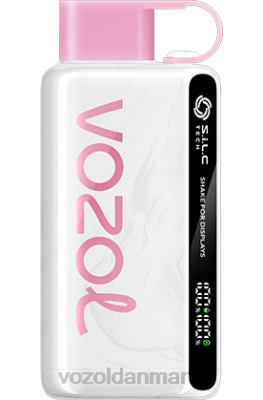 VOZOL STAR 9000/12000 fersken is 24HBP45 VOZOL Vape Flavours