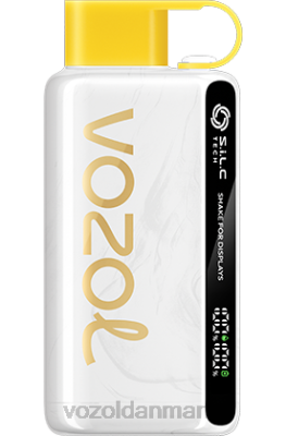 VOZOL STAR 9000/12000 kiwi passionsfrugt guava 24HBP25 VOZOL Vape Flavours