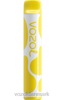 VOZOL JOYGO 600 bananis 24HBP376 VOZOL Vape Near Me