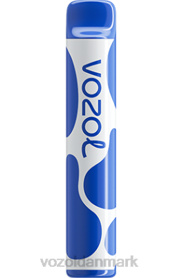 VOZOL JOYGO 600 blåbærstorm 24HBP390 VOZOL Review