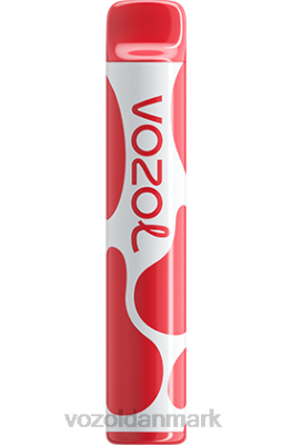 VOZOL JOYGO 600 litchi guava vandmelon 24HBP385 VOZOL Vape Flavours