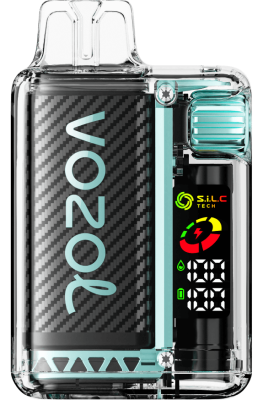 VOZOL VISTA 16000/20000 miami mynte 24HBP9 VOZOL Vape Sale