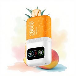 Aivono Aim Magic 20000 Mango Ananas Dual Mesh Coils 600mAh