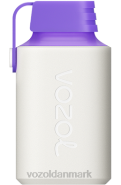 VOZOL GEAR 600 skovbærenergi 24HBP350 VOZOL Review