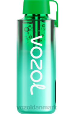 VOZOL NEON 10.000 miami mynte 24HBP229 VOZOL Vape Sale
