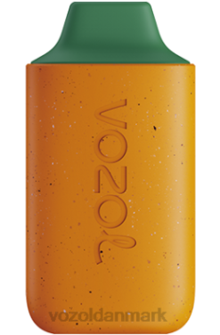VOZOL STAR 6000 mango fersken vandmelon 24HBP120 VOZOL Review